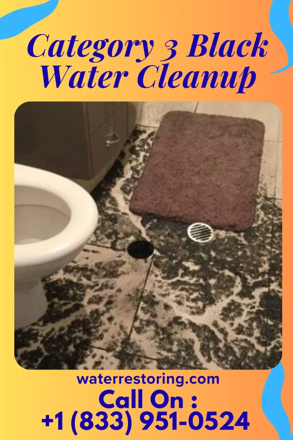 Category 3 Black Water Cleanup in Valley View, OH