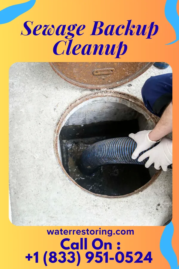 Sewage Backup Cleanup in Valley View, OH